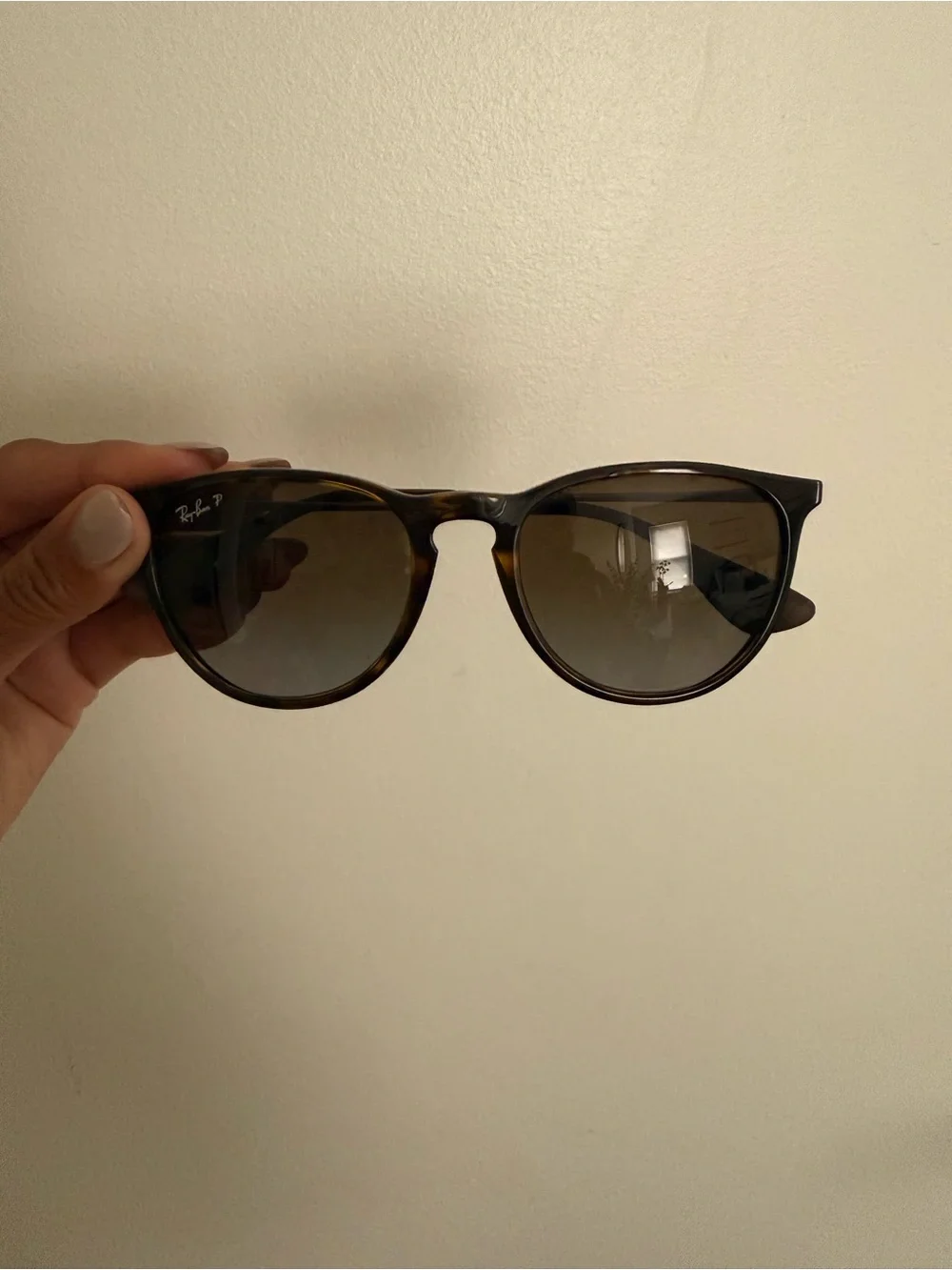 Ray-Ban Erika Classic - Brown Lenses
